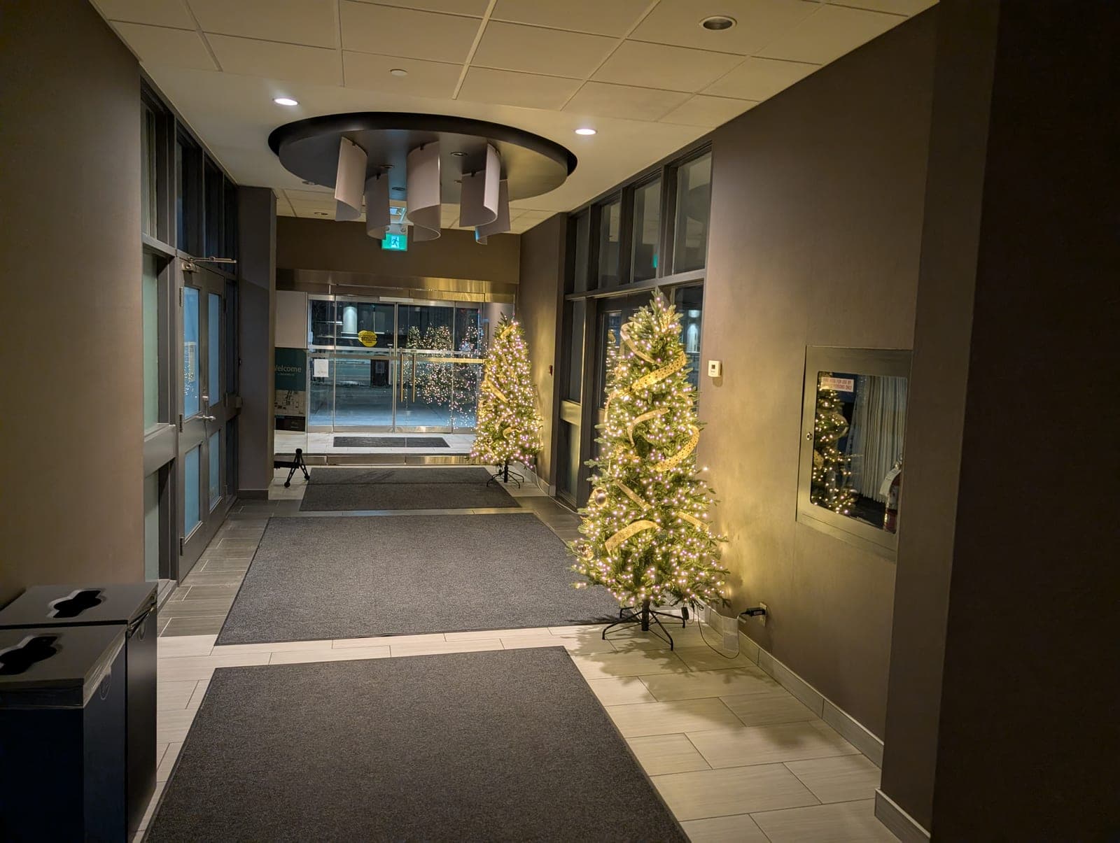 Warm-white lit Christmas trees decorating the interior entrance lobby of an office building.