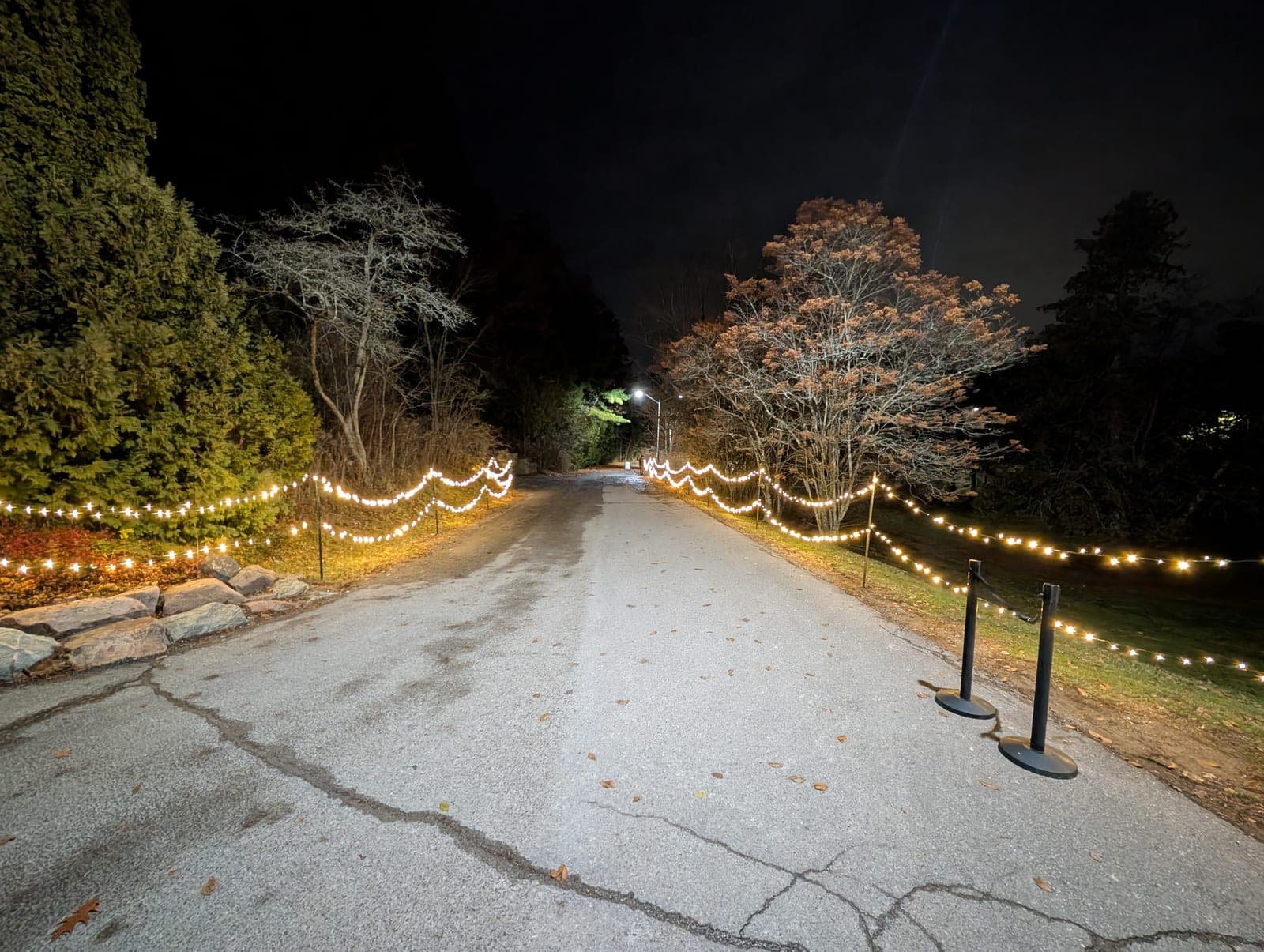 Warm-white bistro string lights lining both sides of a commercial estate driveway at night