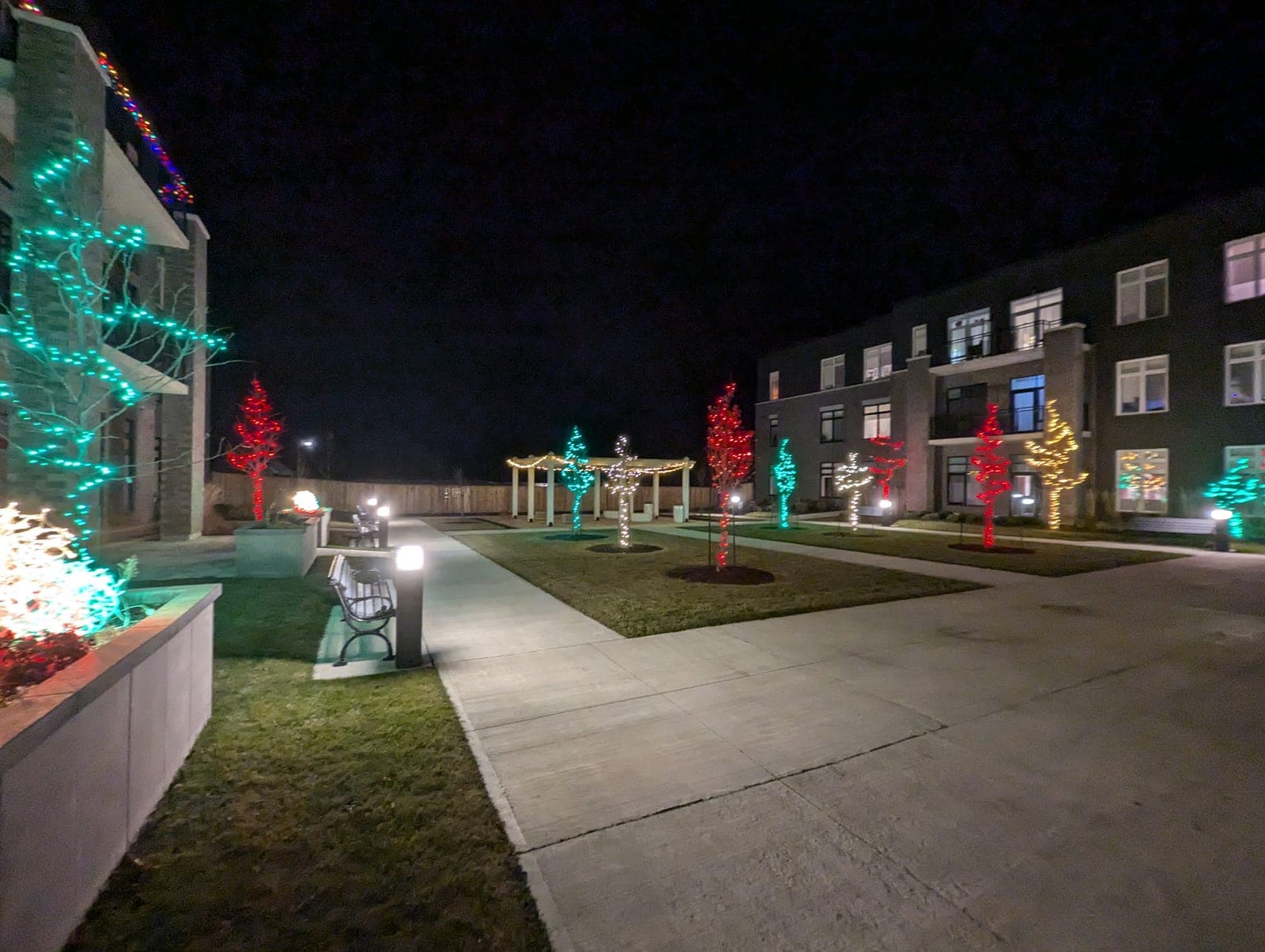 Wide courtyard display of trees wrapped in red and green Christmas lights with pergola and benches at night