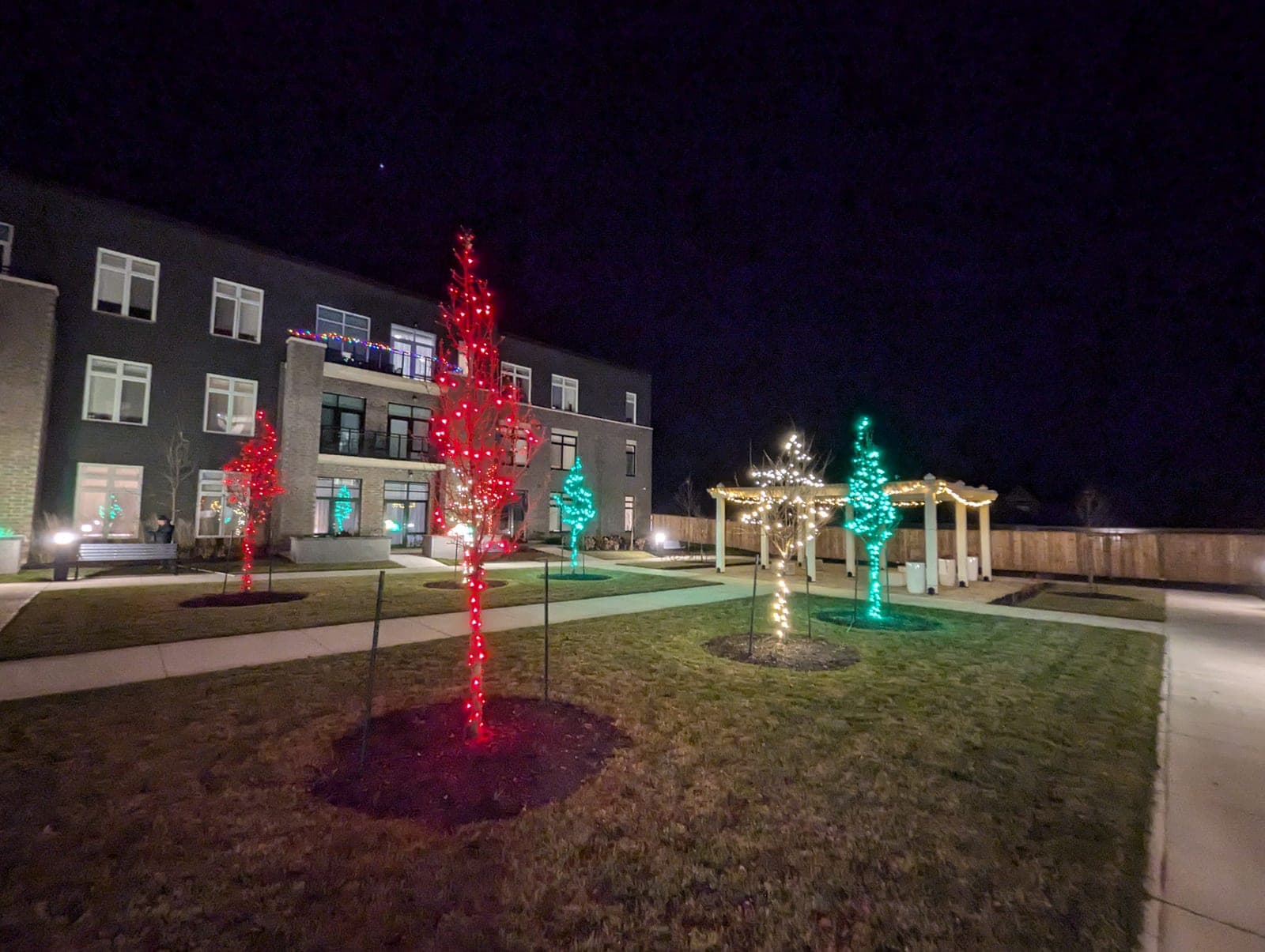 Landscaped courtyard with trees wrapped in red and green Christmas lights beside a residence at night