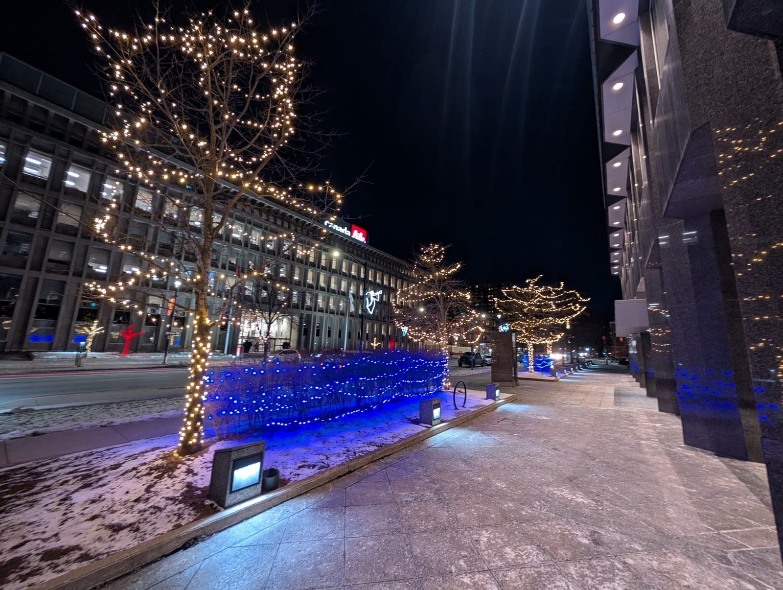 Downtown boulevard with warm-white lit trees and blue accent lighting outside an office tower at night.