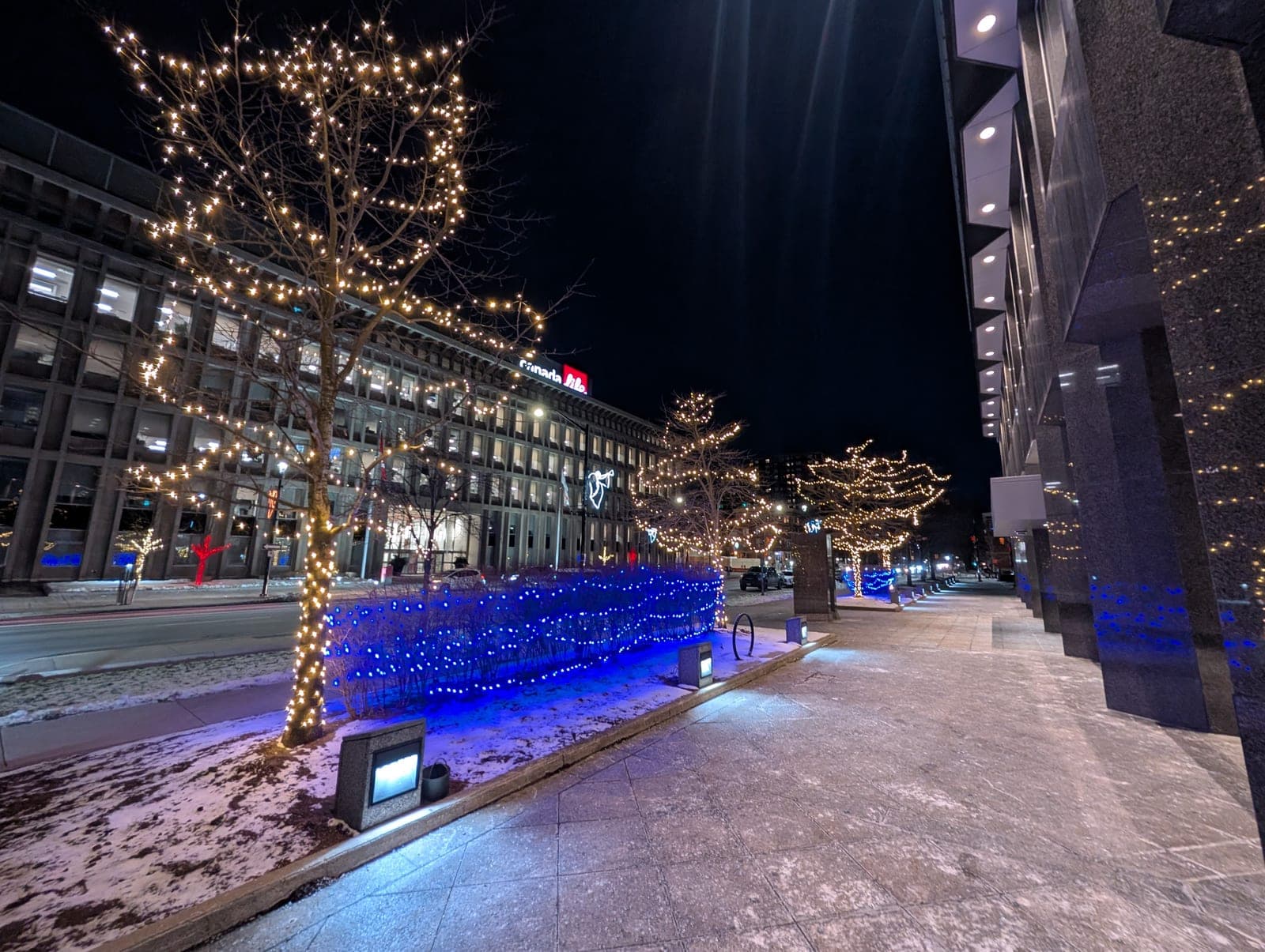City sidewalk lined with warm-white tree wraps and blue-lit planters outside a downtown office building.