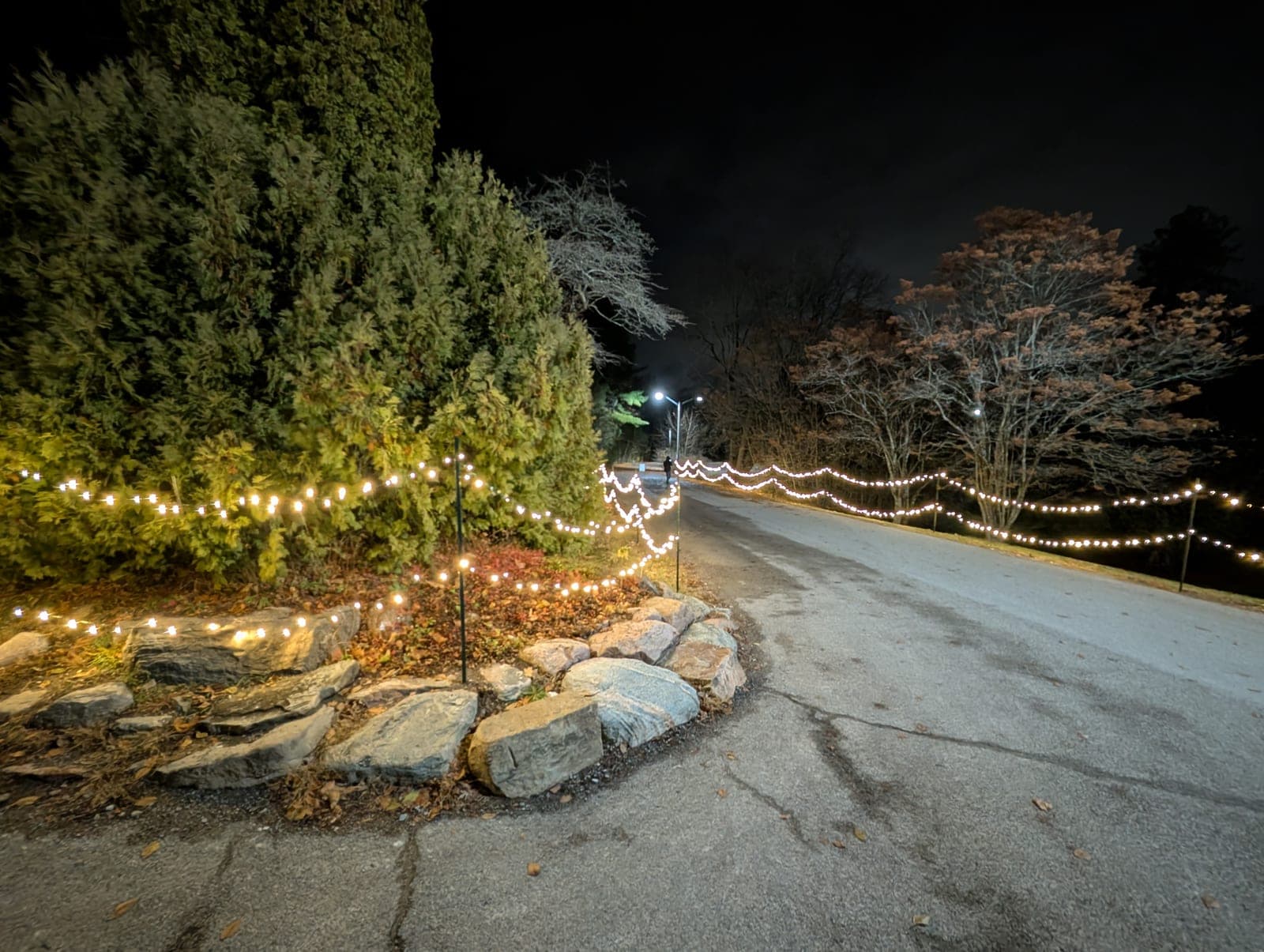 Warm-white string lights lining a curved estate driveway past a landscaped rock garden at night