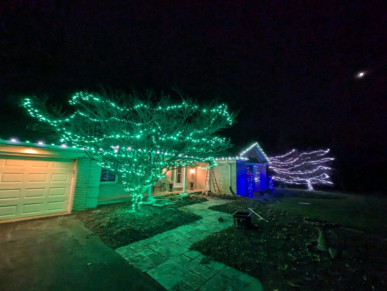 Home with a large front-yard tree wrapped in green lights and warm-white roofline Christmas lighting