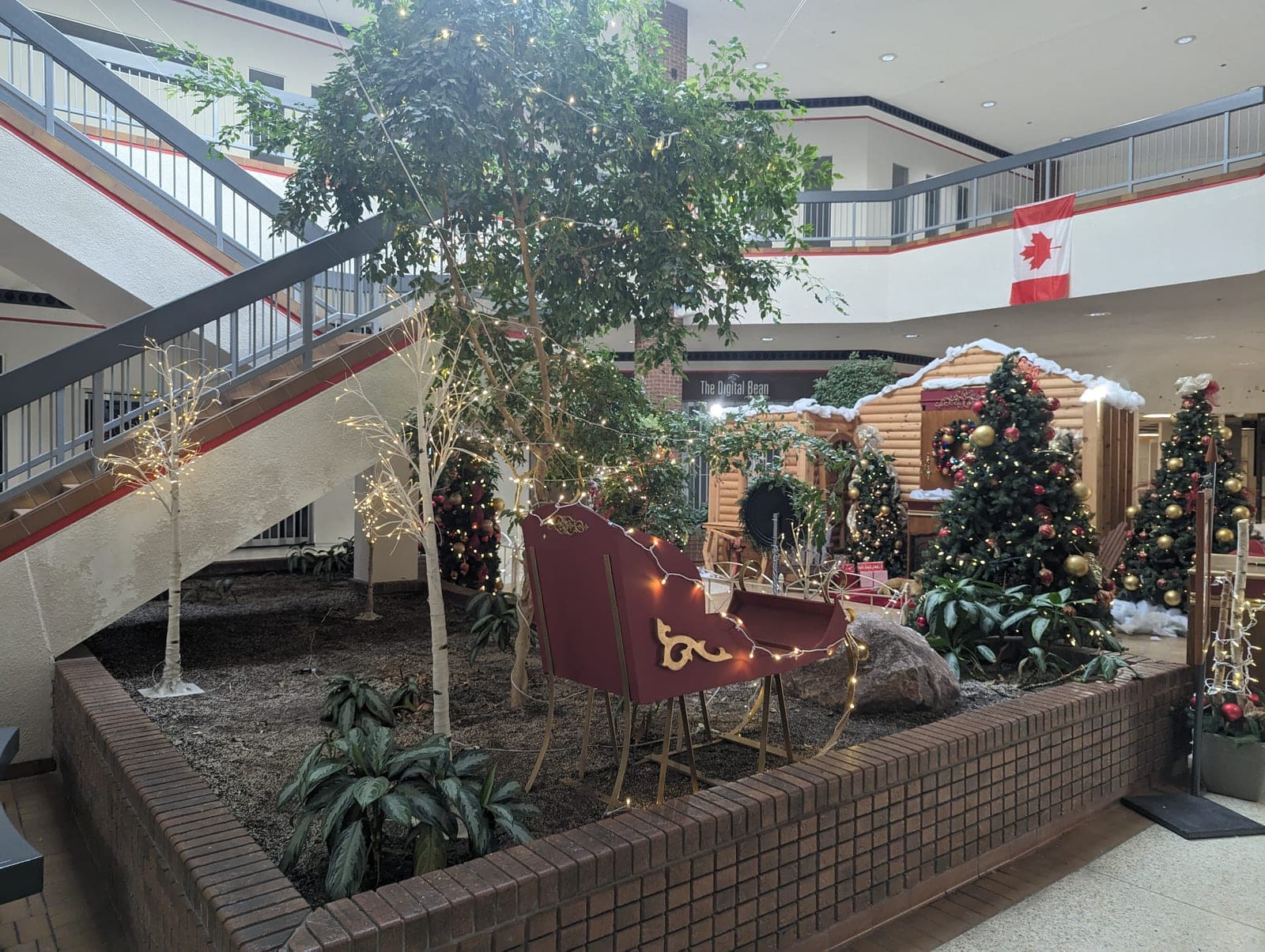 Mall atrium planter feature with a red Christmas sleigh wrapped in warm fairy lights and lit birch trees