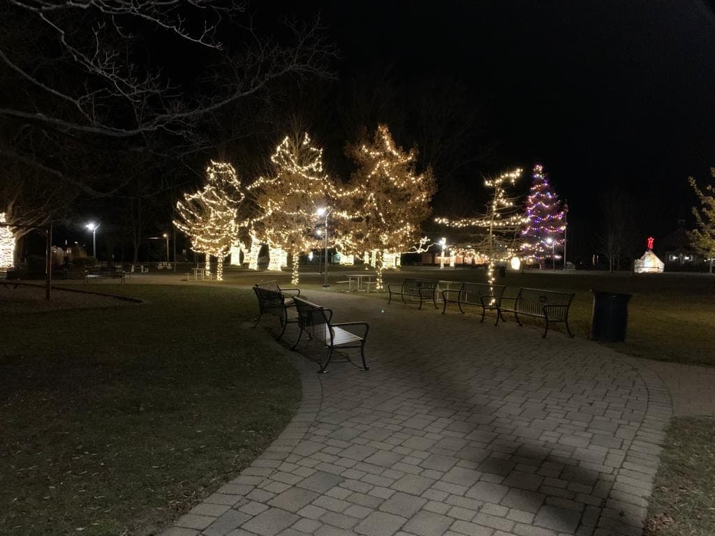 Municipal park with mature trees wrapped in warm-white Christmas lights along a lit walkway at night