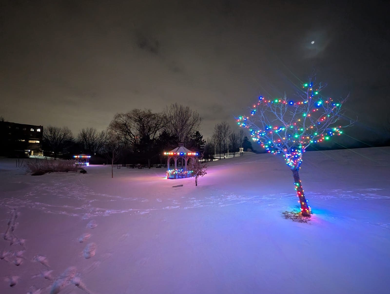 Colourful light-wrapped tree and decorated gazebo across a moonlit snowy park