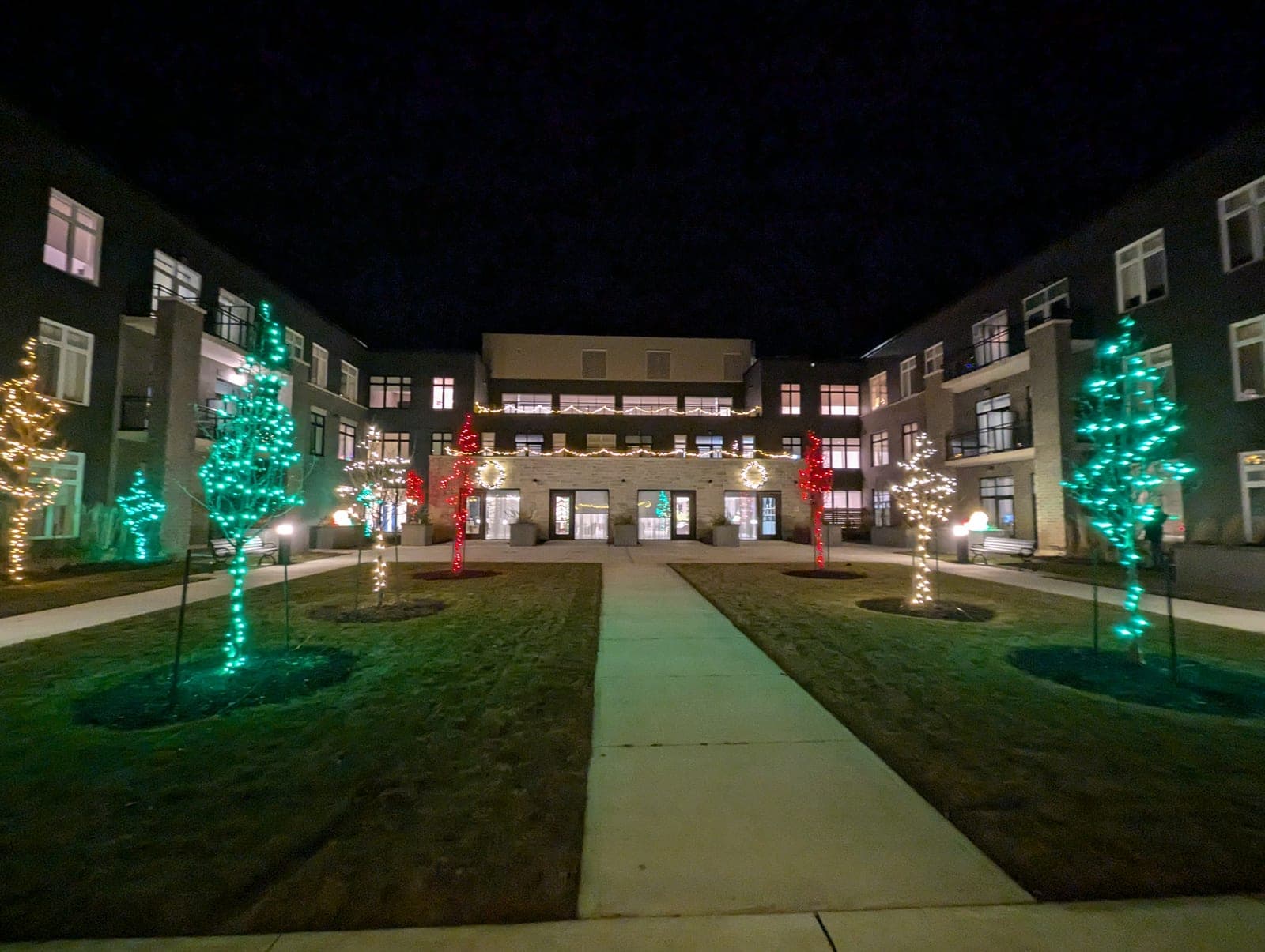 Symmetrical courtyard walkway lined with trees wrapped in green and red Christmas lights leading to a decorated building entrance