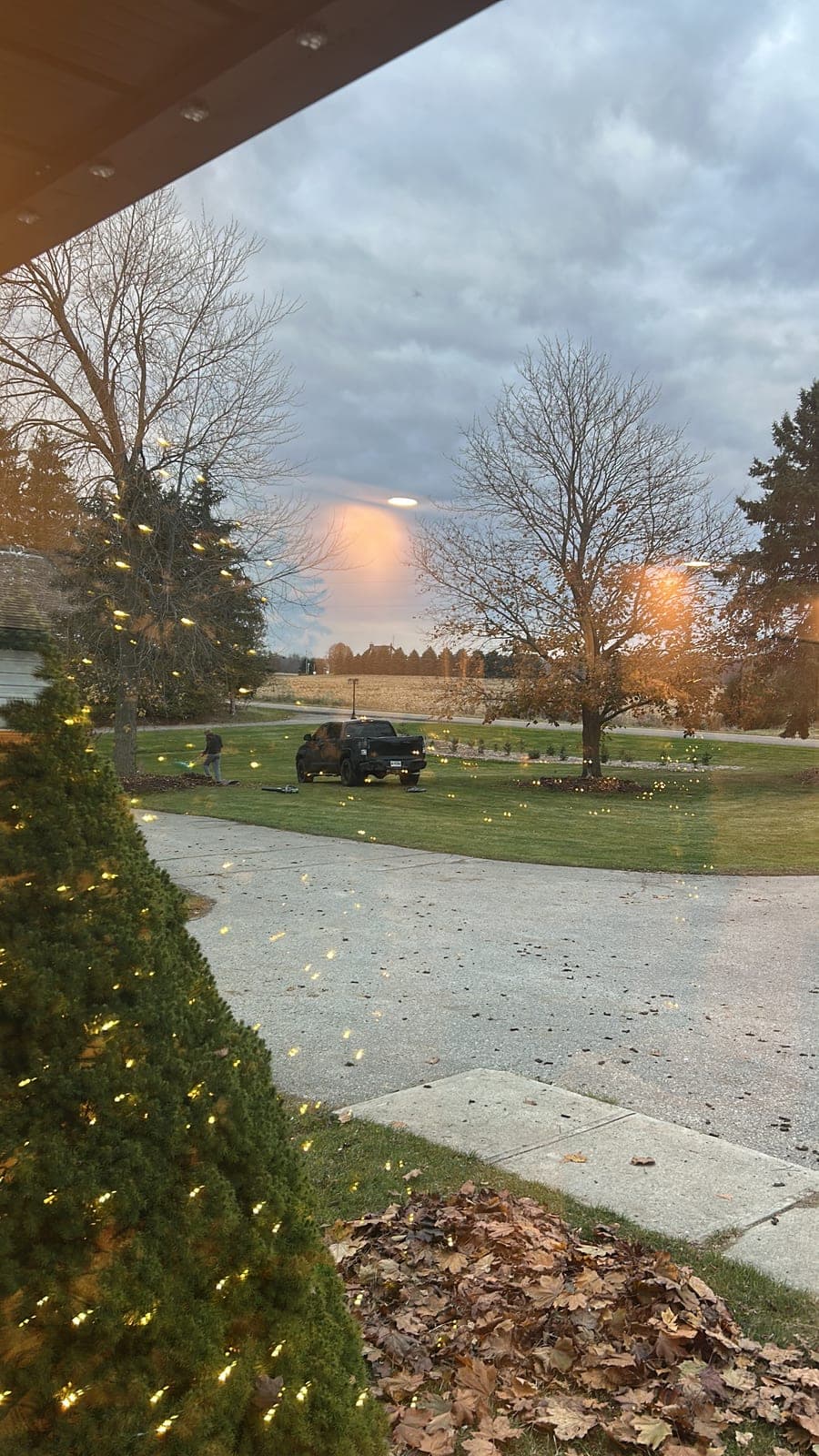 Warm white Christmas lights wrapping landscape trees on a rural property at dusk with an installer's truck in the driveway.